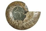 Cut & Polished Ammonite Fossil (Half) - Deep Crystal Pockets #344415-1